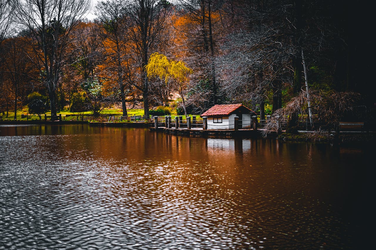 Ataturk Arboretum